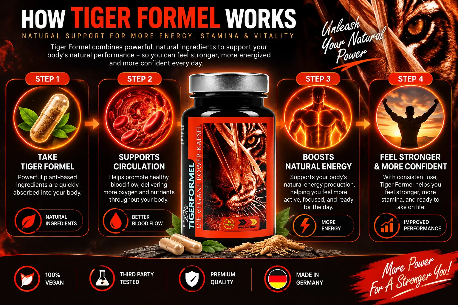 TigerFormel daily support concept graphic